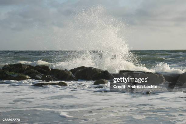 nordsee - nordsee stockfoto's en -beelden