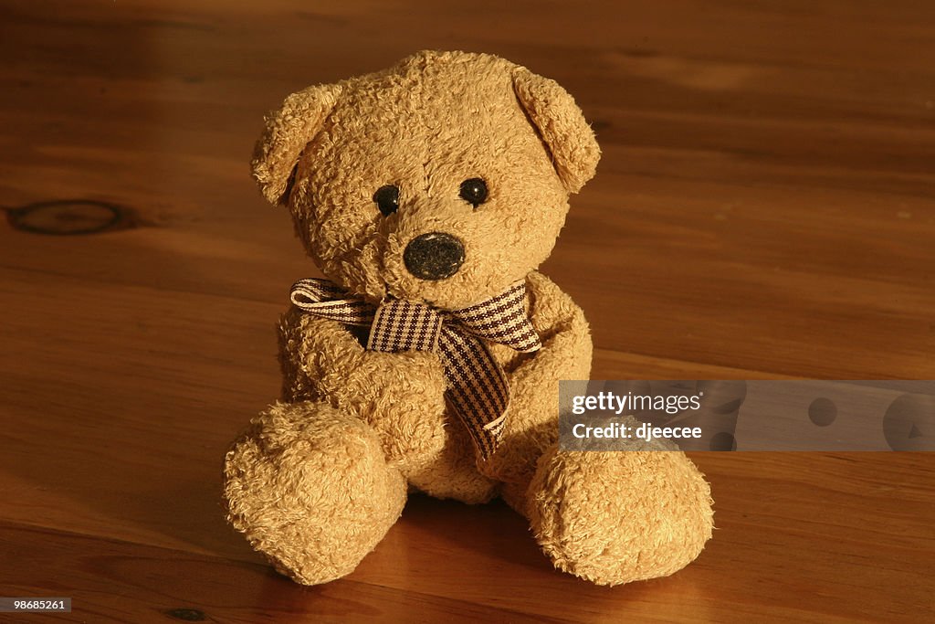Toy bear 2