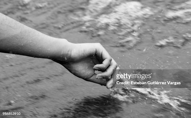 tocar el agua - tocar stock pictures, royalty-free photos & images