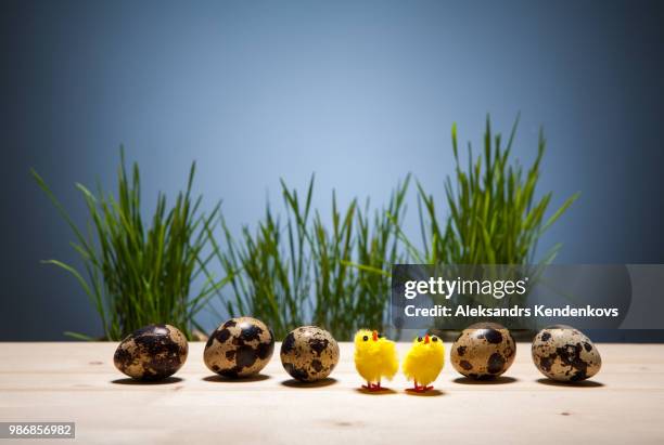 easter still life with eggs, chickens, grass in a basket. - empty easter basket stock pictures, royalty-free photos & images