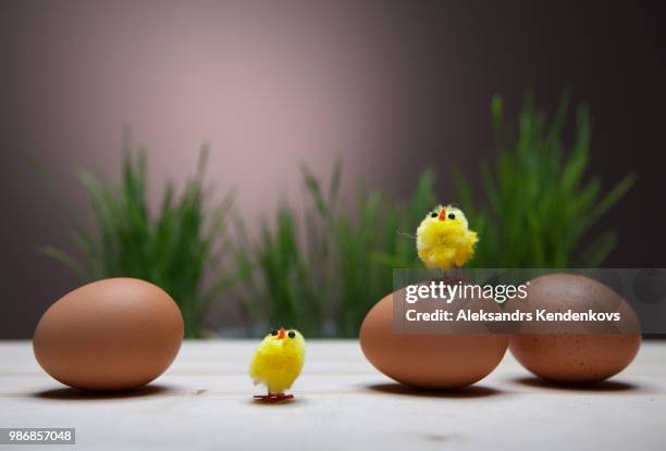 easter still life with eggs, chickens, in a basket. - empty easter basket stock pictures, royalty-free photos & images