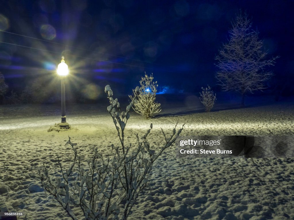 Snowy Night