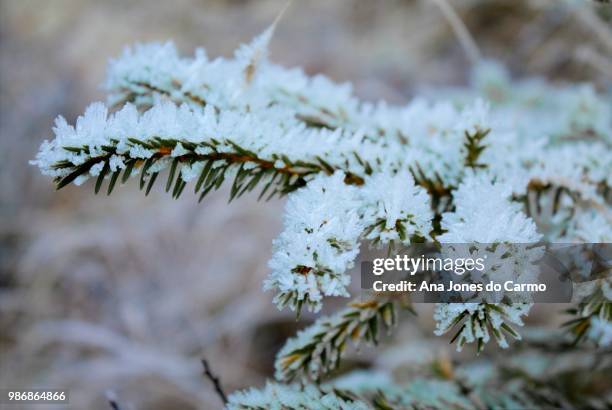 vinter - vinter - fotografias e filmes do acervo