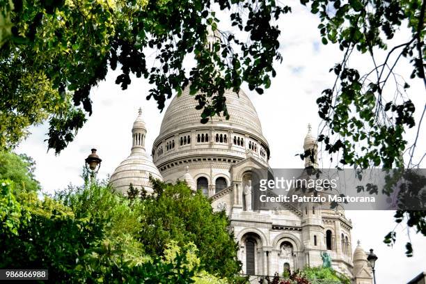 sacre coeur - arbre coeur stock pictures, royalty-free photos & images