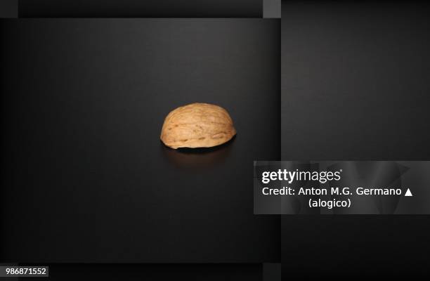 photo by: anton m.g. germano ▲ (alogico) - nutshell stock pictures, royalty-free photos & images