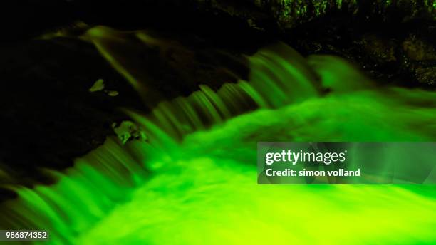 water green on river - volland bildbanksfoton och bilder