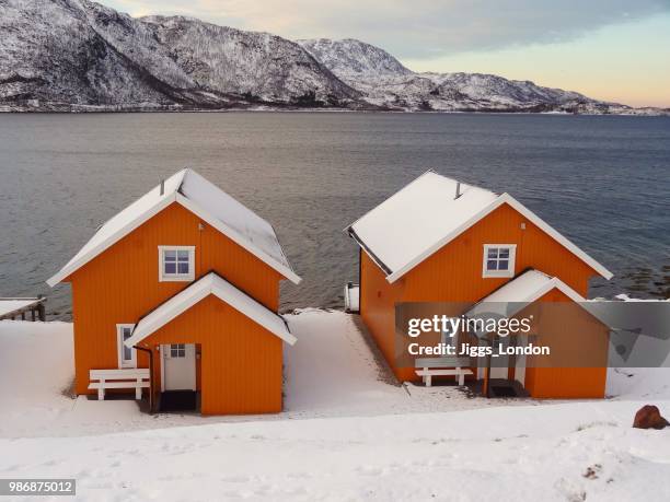 a touch of colour - jiggs stock pictures, royalty-free photos & images
