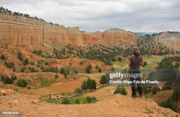 rambla de barrachina, badlands of teruel, teruel province, aragón, spain. - solo vermelho - fotografias e filmes do acervo