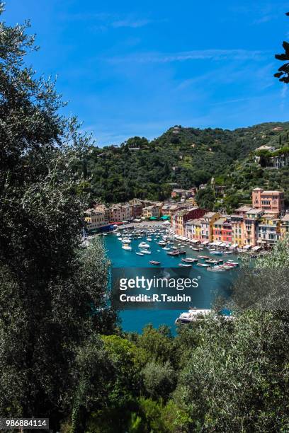 summer vacation in portofino village, italy - ligurian stock pictures, royalty-free photos & images