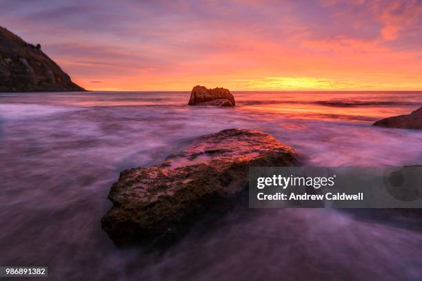 floundering - andrew caldwell stockfoto's en -beelden