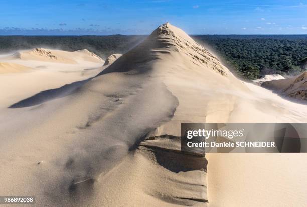 france, arcachon bay, natural sand sculptures on the dune de pilat - duna de pilat fotografías e imágenes de stock