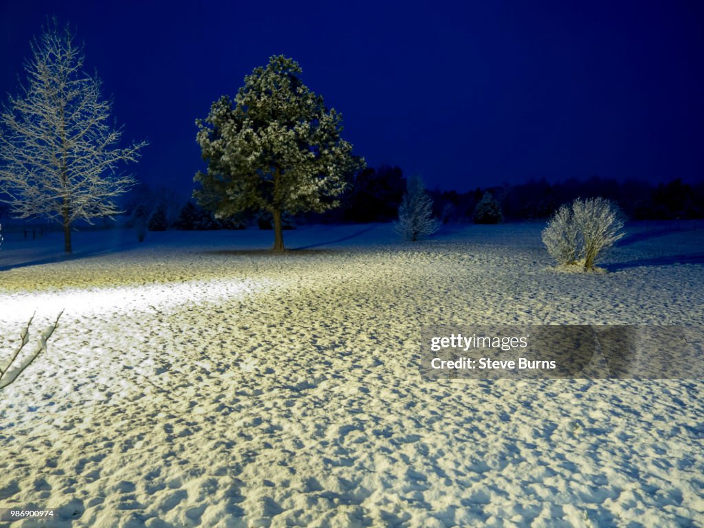 Snow at night
