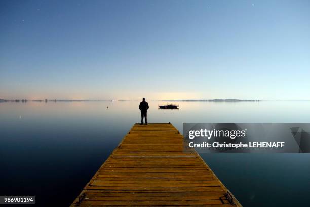 the marne. haute-marne. lake of der in winter. site of chantecoq of night. pontoon on the lake. man admiring the lake. - haute marne photos et images de collection