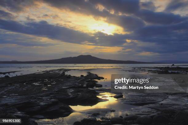 rangitoto hallo - rangitoto stock pictures, royalty-free photos & images