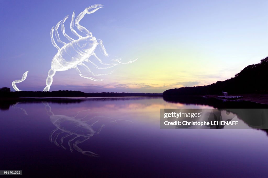 Yonne. Area of Saint Fargeau and Boutissaint. Lake of the Bumblebee. The constellation of the Scorpion appears in the twilight.