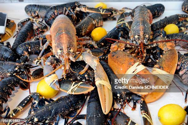 france, north-western france, lower normandy, ouistreham, lobsters on the market - ouistreham stock-fotos und bilder