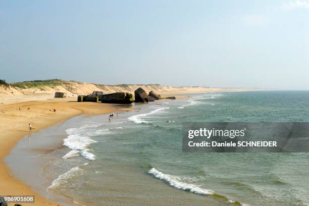 france, southwestern france, capbreton, beach - les landes stock pictures, royalty-free photos & images