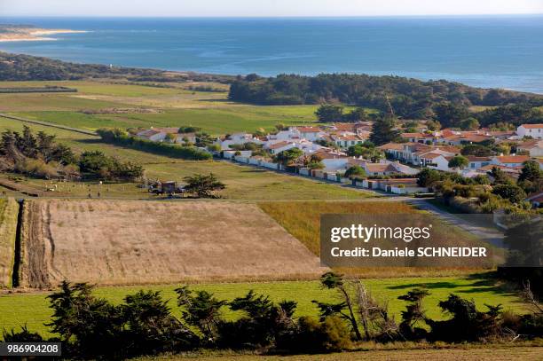 france, west coast of france, isle of rhe, fields and residential area in st clement-les-baleines - poitou charentes imagens e fotografias de stock