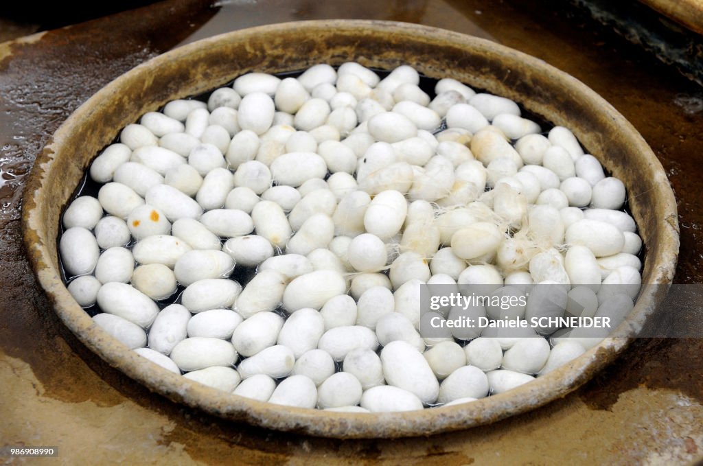 Turkey, silkworm cocoons