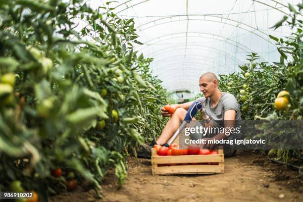 man with prosthetic leg resting after a long day of harvesting - beautiful long legs imagens e fotografias de stock