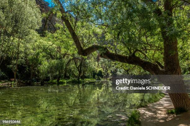 spain, autonomous community of aragon, espejo lake in the park of the cistercian monasterio de piedra - espejo stockfoto's en -beelden