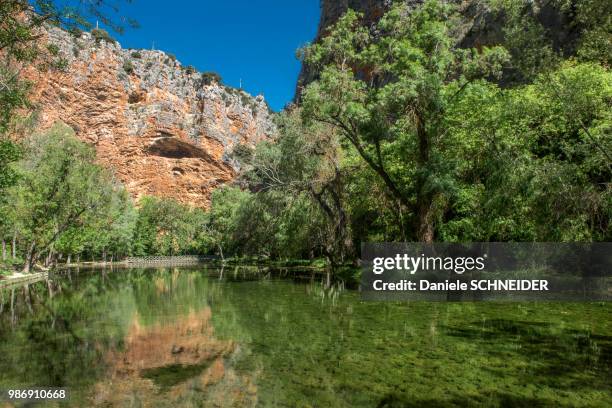 spain, autonomous community of aragon, espejo lake in the park of the cistercian monasterio de piedra - espejo stock pictures, royalty-free photos & images