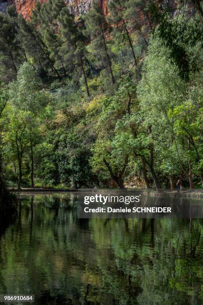 spain, autonomous community of aragon, espejo lake in the park of the cistercian monasterio de piedra - espejo stock pictures, royalty-free photos & images