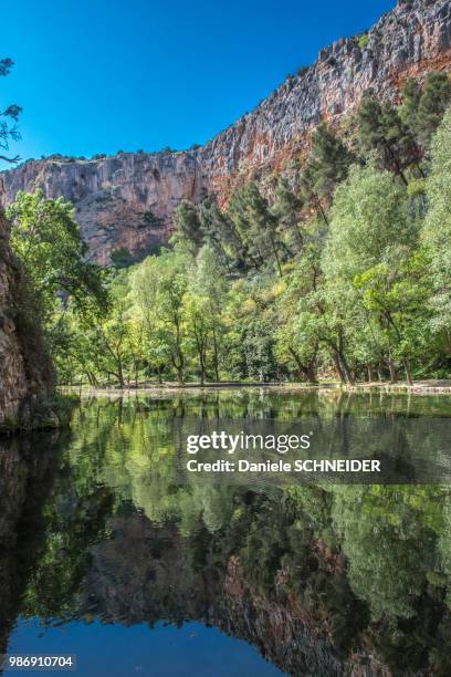 spain, autonomous community of aragon, espejo lake in the park of the cistercian monasterio de piedra - espejo stock pictures, royalty-free photos & images