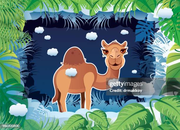 camel - zoo landscape vector stock illustrations