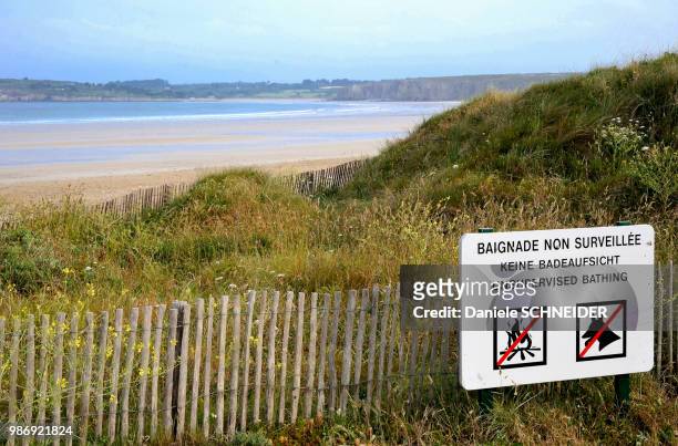 france, brittany, finistere, protective wooden fence on the vegetal dune, morgat, crozon peninsula - vegetal stock-fotos und bilder