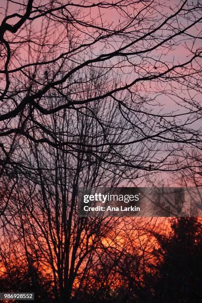 Magic Hour Shadows 1,740 Magic Hour Sunset Stock Photos, High-Res Pictures, and Images ...