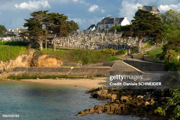 france, brittany, finistere, the marin cemetery of treboul on the edge of the sea, douarnenez - treboul fotografías e imágenes de stock