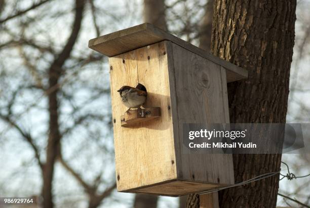 no vacancy! - no vacancy stock pictures, royalty-free photos & images