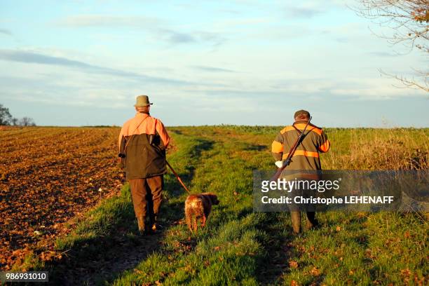 department of aisne. big game hunting season (autumn). hunters walking to the monitoring site. - spy hunter stock pictures, royalty-free photos & images