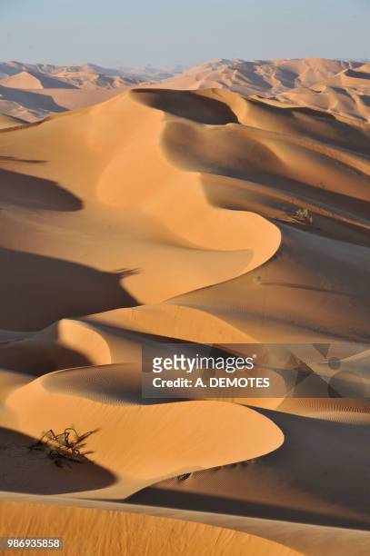sultanate of oman, dhofar, rub al khali desert, called the empty quarter, the largest sand area in the world border of yemen and saoudi arabia, landscape of rolling ochre sand dunes - dhofar stock pictures, royalty-free photos & images