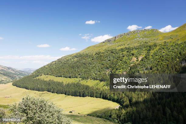 the massif central. cantal. view of the cantal mountains from the climb to the puy mary. - cantal stockfoto's en -beelden