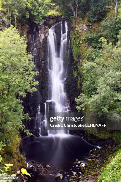 cantal. region of puy mary. cheylade. the cascade of sartre. - cantal stockfoto's en -beelden