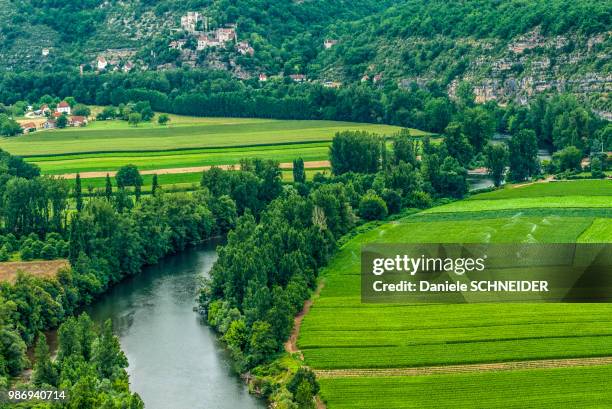 france, lot, causses du quercy regional natural park, lot lower valley, cornfield in the caillac meande seen from the saut de la mounine - lot river stock pictures, royalty-free photos & images