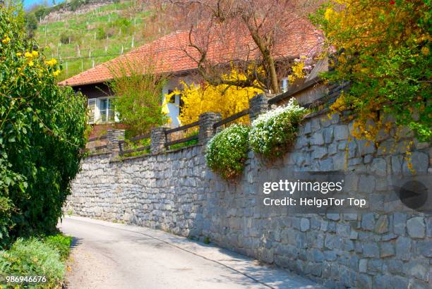 austrian village - rail fence stock pictures, royalty-free photos & images