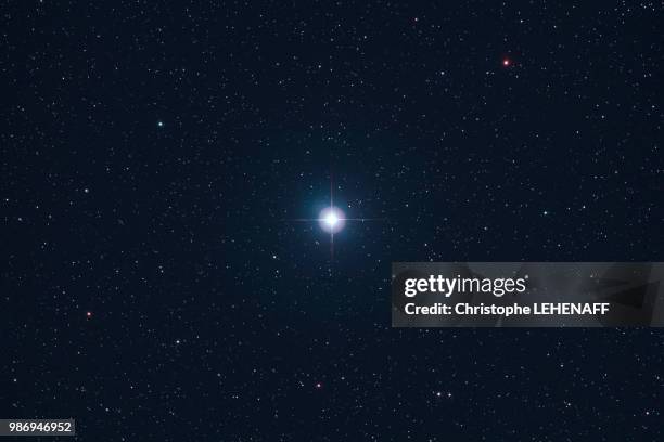 seine et marne. focus on one of the most beautiful stars of heaven: vega in the constellation lyra. the blue star is located 25 light years from earth and is clearly visible, especially in summer. - lier stockfoto's en -beelden