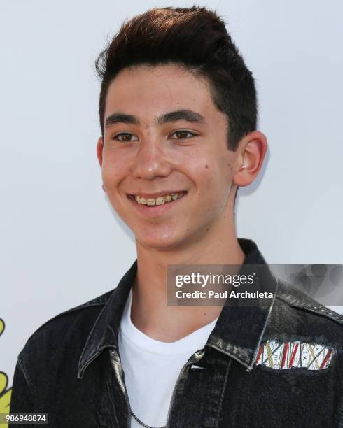 Actor Adam Cohen attends the Gen-Z Studio Brat's premiere of "Chicken Girls" at The Ahrya Fine Arts Theater on June 28, 2018 in Beverly Hills,...