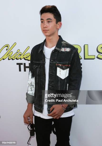 Actor Adam Cohen attends the Gen-Z Studio Brat's premiere of "Chicken Girls" at The Ahrya Fine Arts Theater on June 28, 2018 in Beverly Hills,...