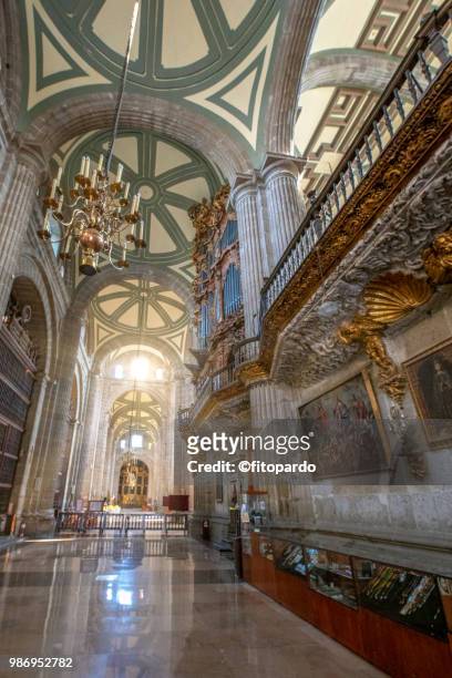metropolitan cathedral and the pipe organ - catedral metropolitana imagens e fotografias de stock