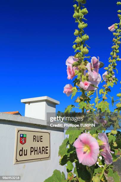 france, vendee, la tranche sur mer - vendée fotografías e imágenes de stock