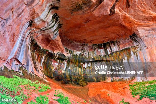 usa. utah. zion national park. zion kolob. canyon. taylor creek. double arch alcove. - double arch stock pictures, royalty-free photos & images