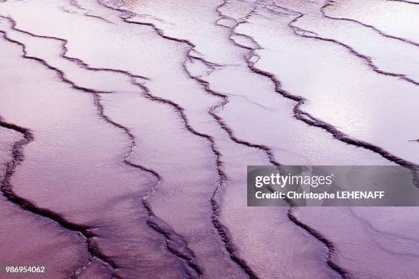 usa. wyoming. yellowstone park. midway geyser basin. grand prismatic spring. - midway geyser basin stock-fotos und bilder