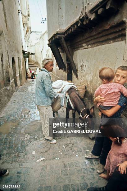 Un marchand de chaux stationne avec son âne, en octobre 1971, dans une rue de la Casbah d'Alger. La Casbah d'Alger, coeur historique de la capitale...