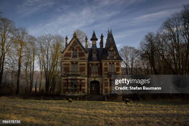 early morning at chateau sanglier - sanglier stockfoto's en -beelden