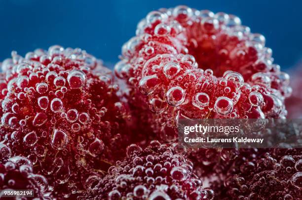 Food Microscope Foto e immagini stock - Getty Images