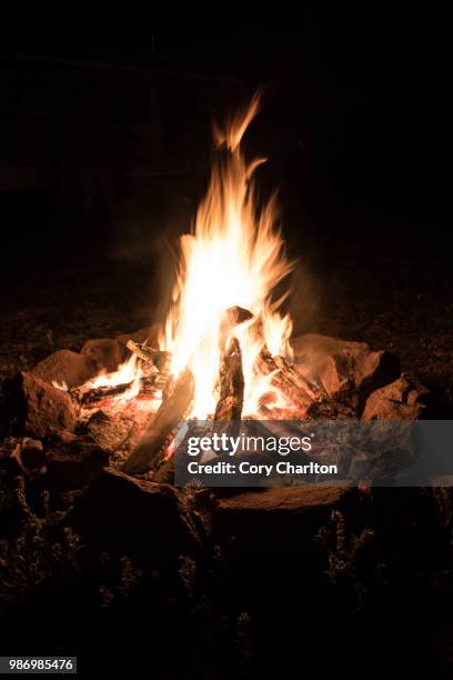 roaring campfire - roaring fireplace stock pictures, royalty-free photos & images